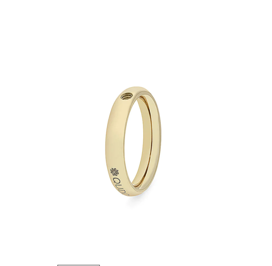 Basic Band Interchangeable Ring - QUDO