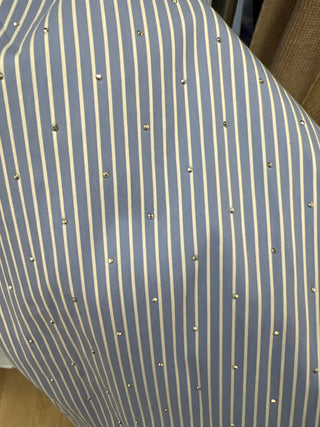 Button down, stripped button down, blue button down, sparkly button down, fall outfit Inspo, blue and white stripped button down  