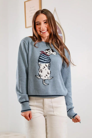 Spot Dog Sweater