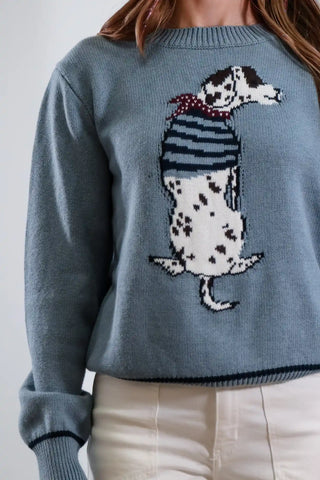 Spot Dog Sweater