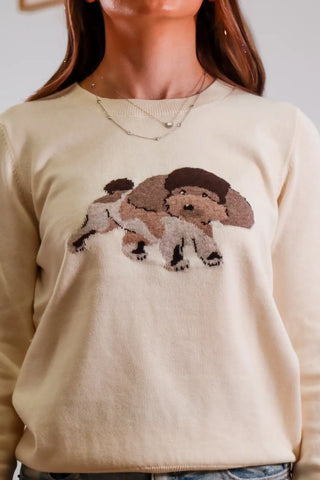 Curly Poodle Pup Sweater