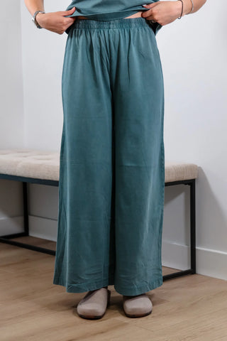 Scout Jersey Pant -Green - Z Supply