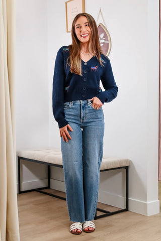 cute cardigan, v neck cardigan, navy cardigan, navy v neck cardigan, horse sweater, horse cardigan, cute fall sweaters, cute winter sweaters, fall outfit inspo, navy cardigan outfit inspo