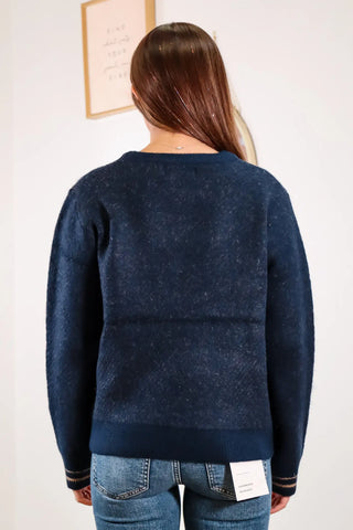 Cute fall cardigan, fall sweater, horse sweater, horse pull over, navy blue sweater, comfortable pull over, trending pullover, fall outfit inspo