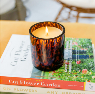 Sweet Grace Tortoise Jar Candle, Tortoise Shell, Tortoise Candle, Sweet Grace Candles, Sweet Grace